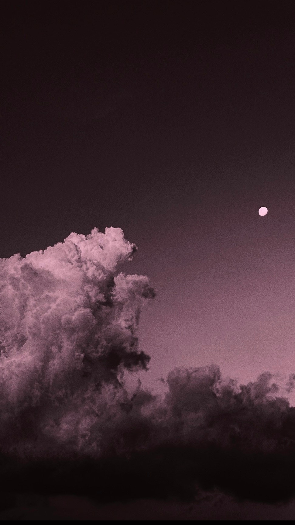 SOMEWHERE. Carolinetru