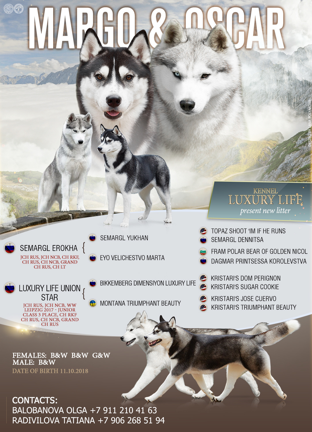 Презентация помета хаски для питомника