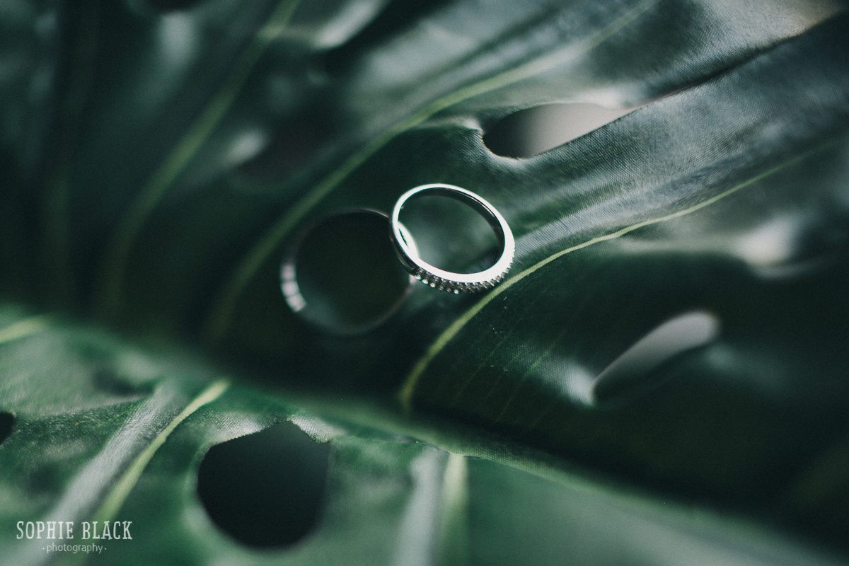 Апрель. Соня Черных (sophieblack)