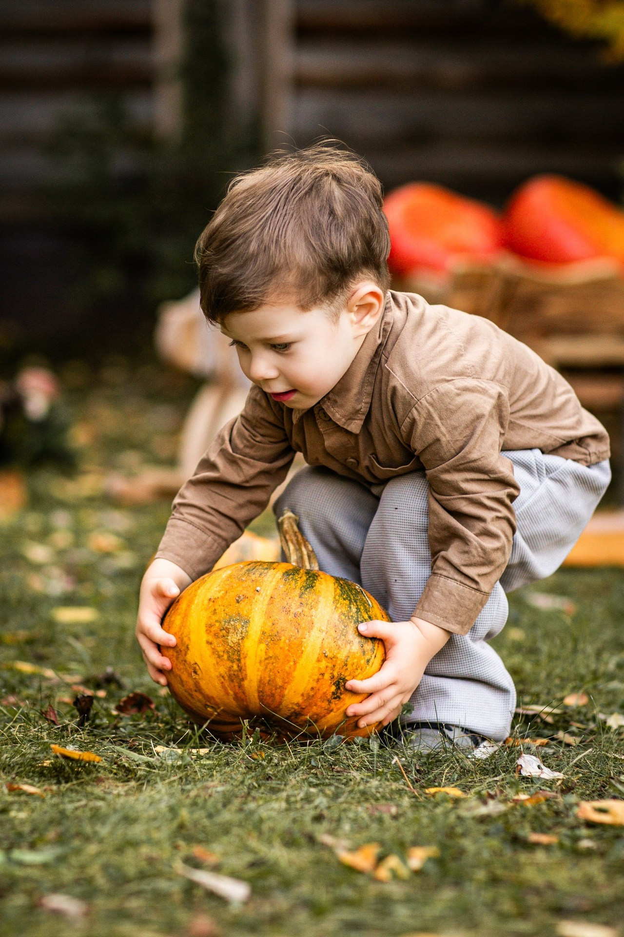 Осенние. Фотограф Елена Вишневская (Ушакова) Нефтеюганск, Сургут, Тюмень