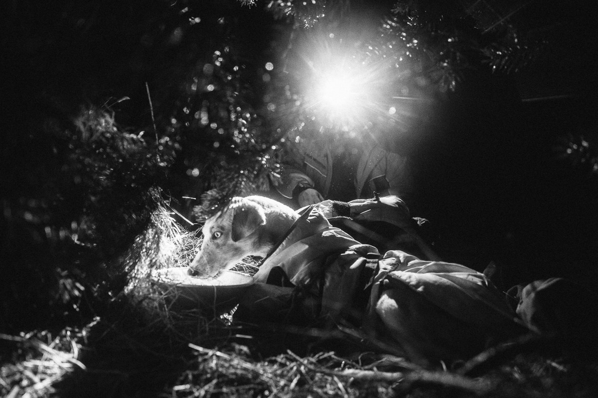 Северная Надежда. Виктор Вытольский —репортажный и событийный фотограф в Москве