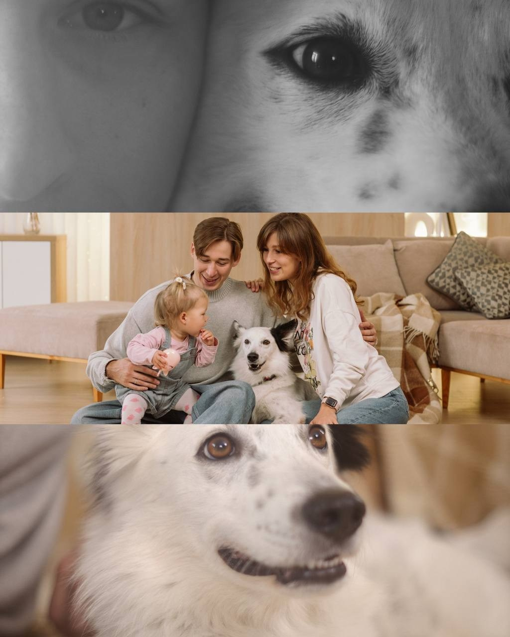 Семейная и детская съемка. Детский семейный фотограф в Севастополе Крыму