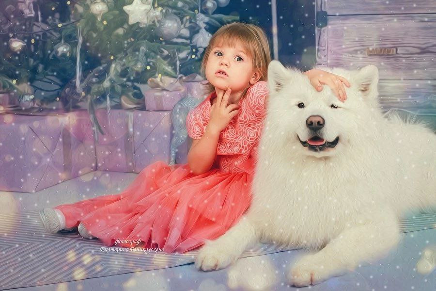 Новогодняя. Фотограф в Красноярске Екатерина Беникаускене