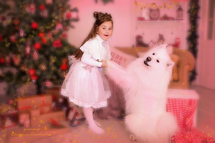 Новогодняя. Фотограф в Красноярске Екатерина Беникаускене