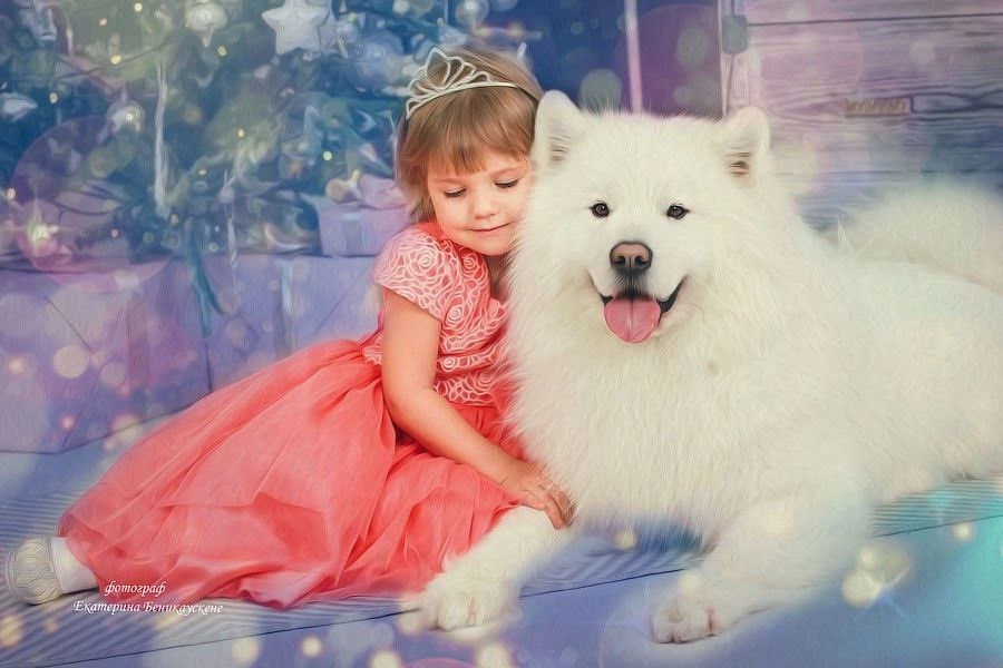 Новогодняя. Фотограф в Красноярске Екатерина Беникаускене