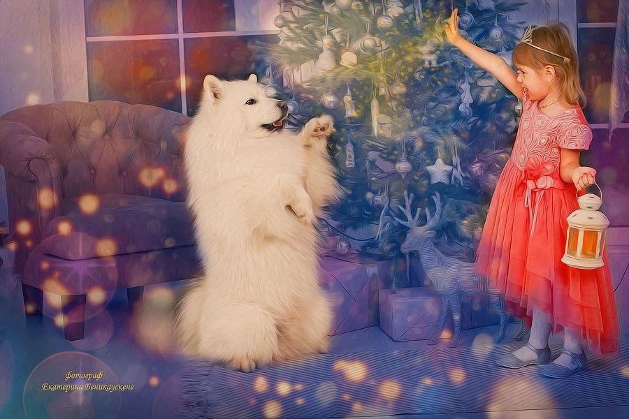 Новогодняя. Фотограф в Красноярске Екатерина Беникаускене