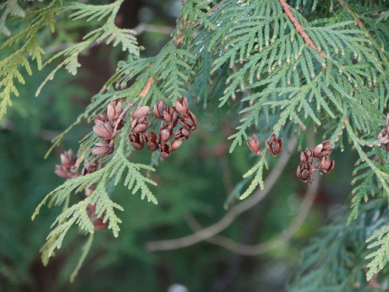 «Весенний переполох» Загородный выезд | 16-17.04.2016. Галерея Фантим