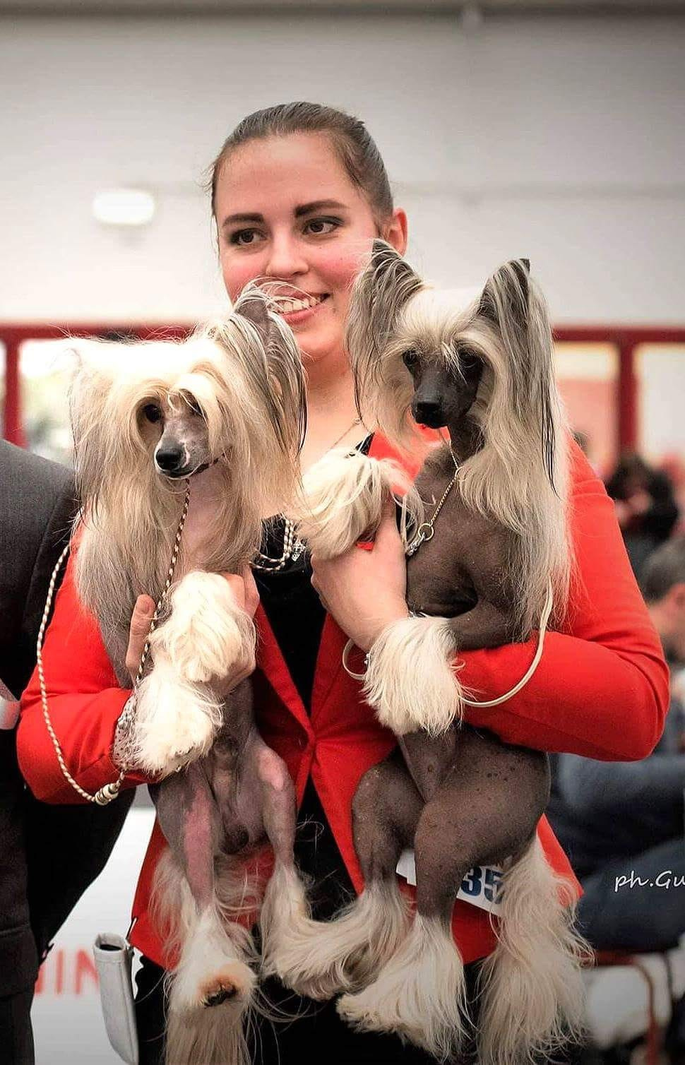 17.03.2018, IDS REGGIO EMILIA ITALY. NILUFER MOLOSOS GRATZI и ALFA LAVAL DE LUX SUPERNOVA c хендлером Натальей Губенковой.