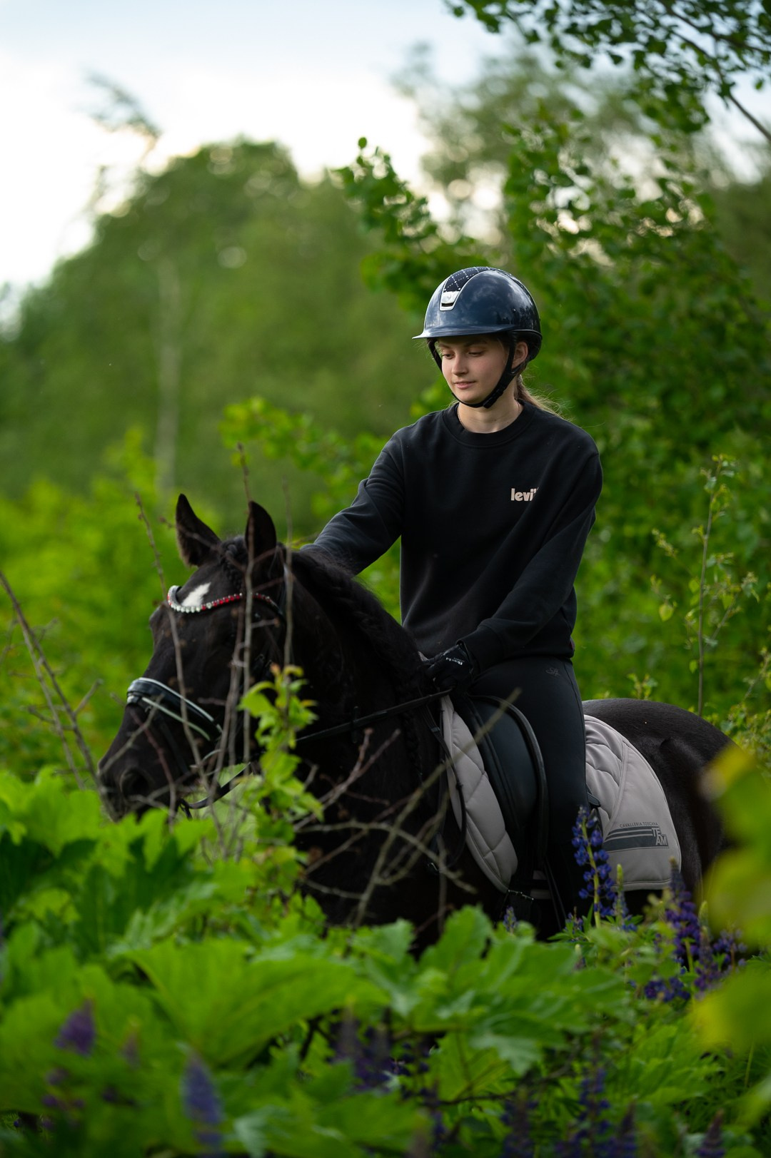 Конюшня. Мир живой фотографии о Вас и для Вас