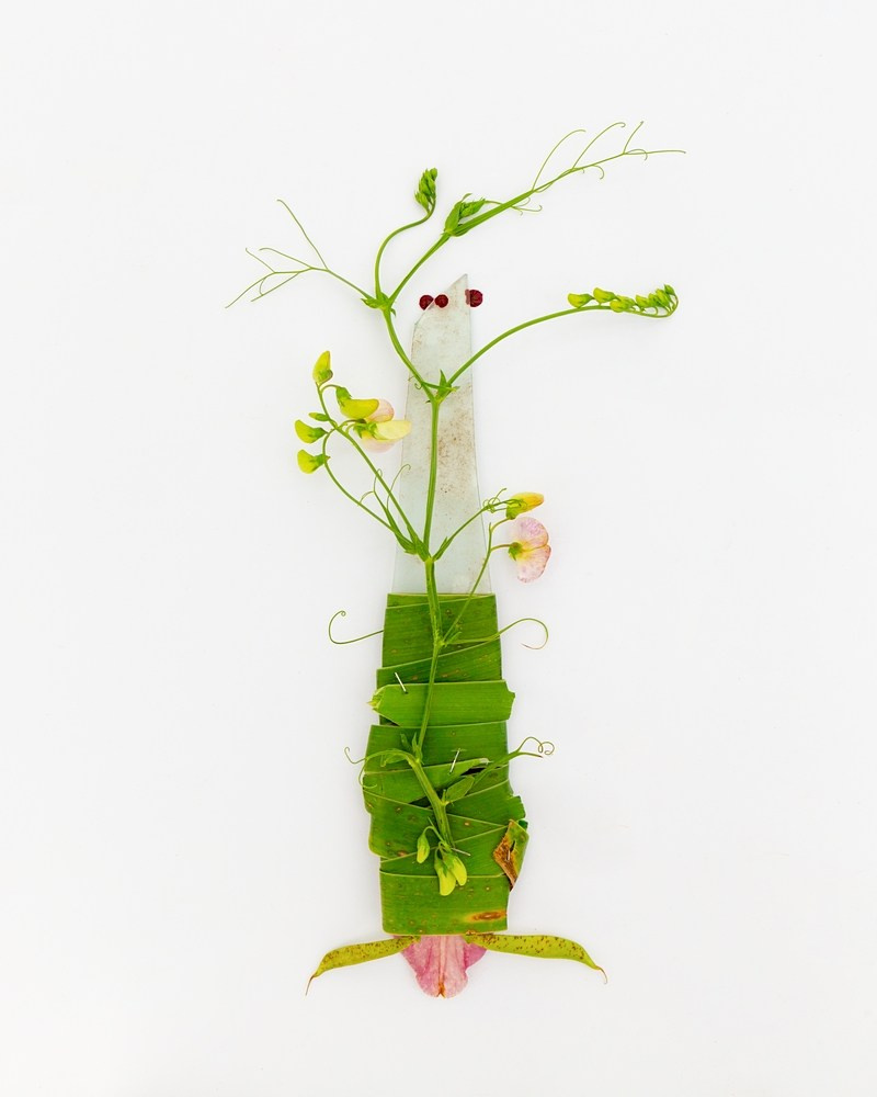 Острые предметы. Фотографии Саши Любина