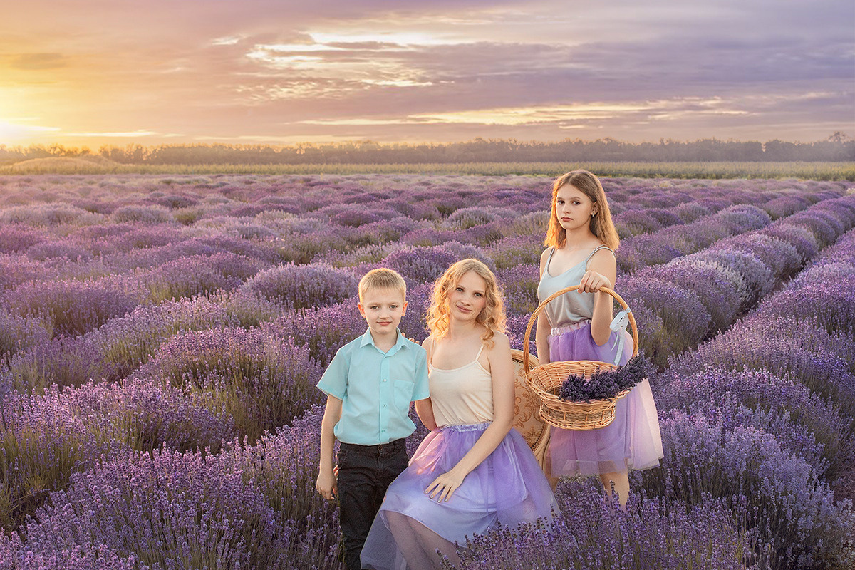 Лавандовые поля. Фотограф в Волгодонске Елена Орешкина