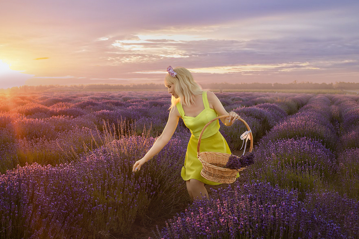 Лавандовые поля. Фотограф в Волгодонске Елена Орешкина