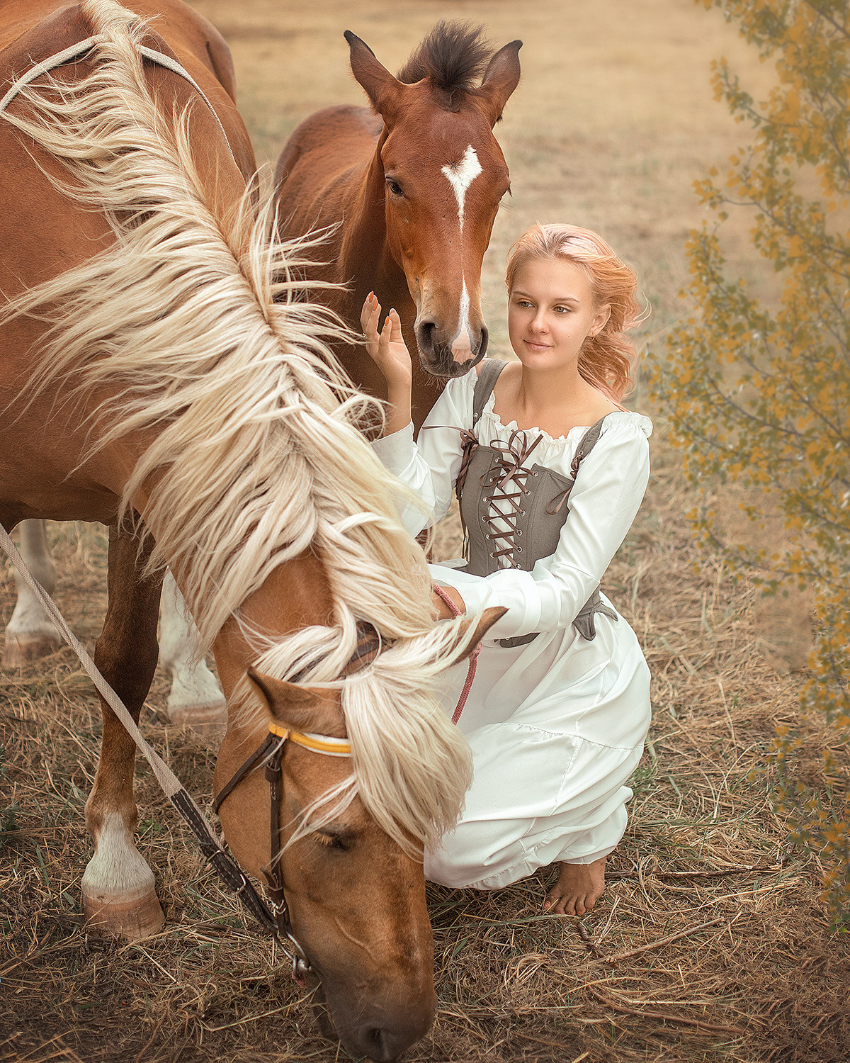 Конный двор. Фотограф в Волгодонске Елена Орешкина