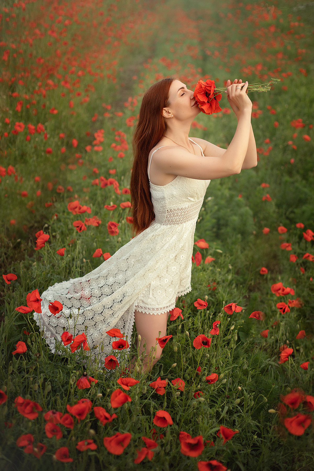 Маки. Фотограф в Волгодонске Елена Орешкина