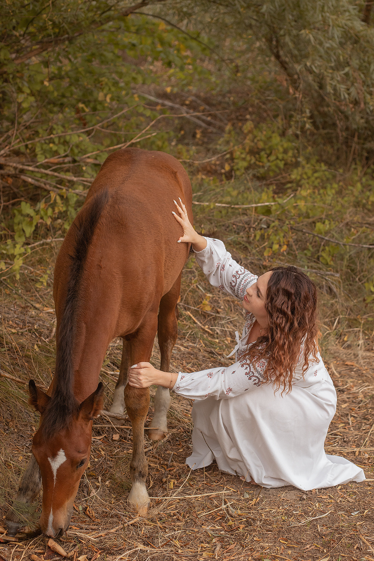Конный двор. Фотограф в Волгодонске Елена Орешкина