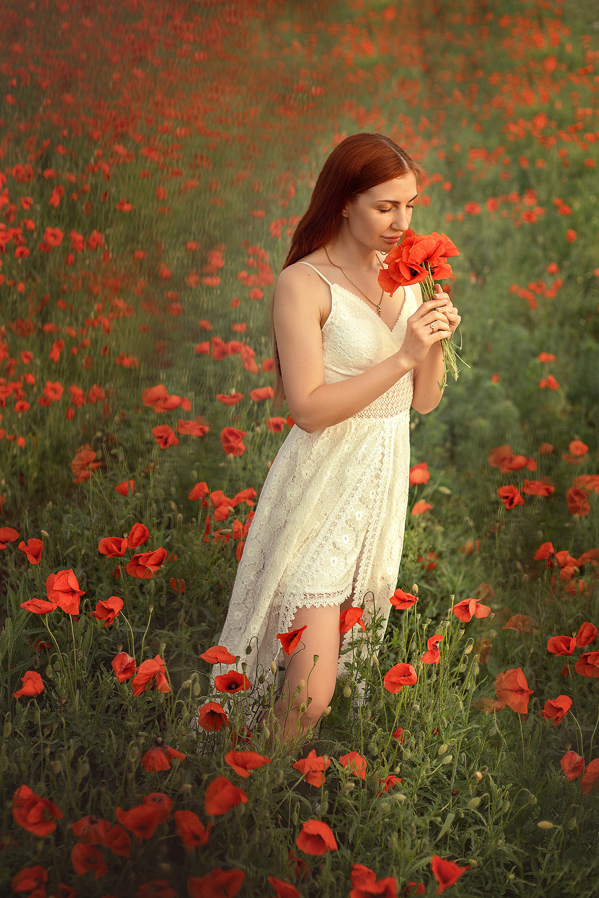 Маки. Фотограф в Волгодонске Елена Орешкина