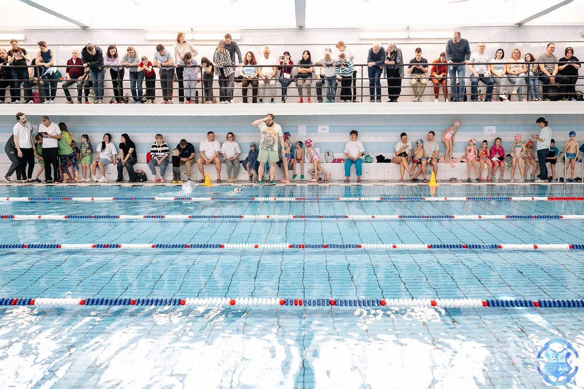 Соревнования по плаванию «Дельфинёнок». Фотограф Москва
