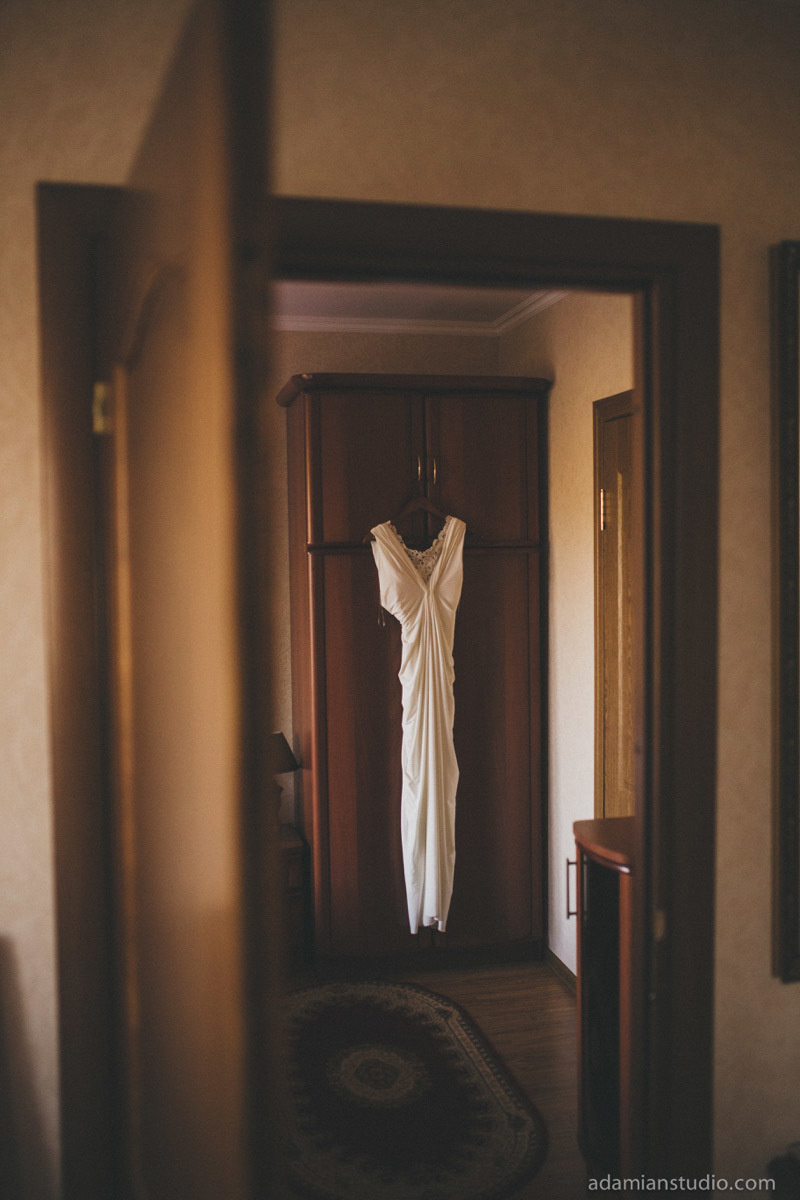 Nick & Vasilisa. Wedding and family photography Adamians