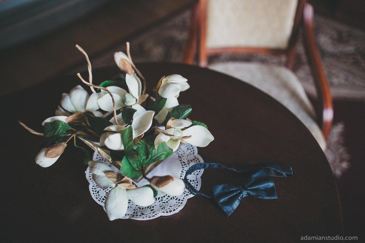 Nick & Vasilisa. Wedding and family photography Adamians