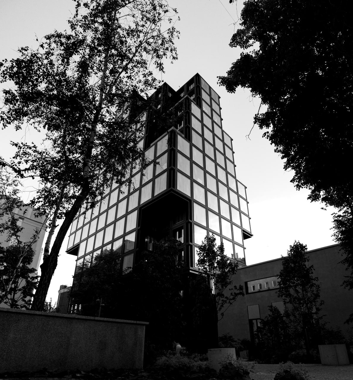 Черно-белая архитектурная фотография: современное здание с сетчатой структурой окон, окруженное темными силуэтами деревьев, контраст света и глубокой тени, геометрия города, уличная фотография Москвы, Вадим Топорёнок, проект Манифест теней, городские фасады, архитектурный минимализм, тени и свет, монохромная архитектура.