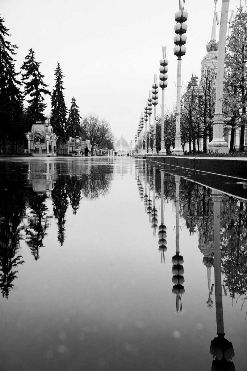 Черно-белая художественная фотография: симметричное отражение деревьев и фонарных столбов в воде на затопленной аллее или парковой дорожке, зеркальная композиция,倒影 (отражение), уличная фотография, Вадим Топорёнок, Манифест теней, геометрия города, отражения в воде, чёрно-белая фотография природы, симметричная композиция, археология душ.