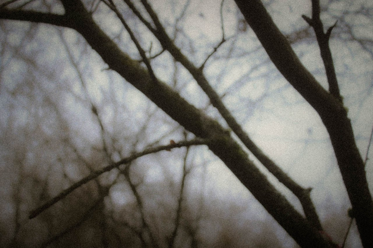 Лана. ALASRAIN