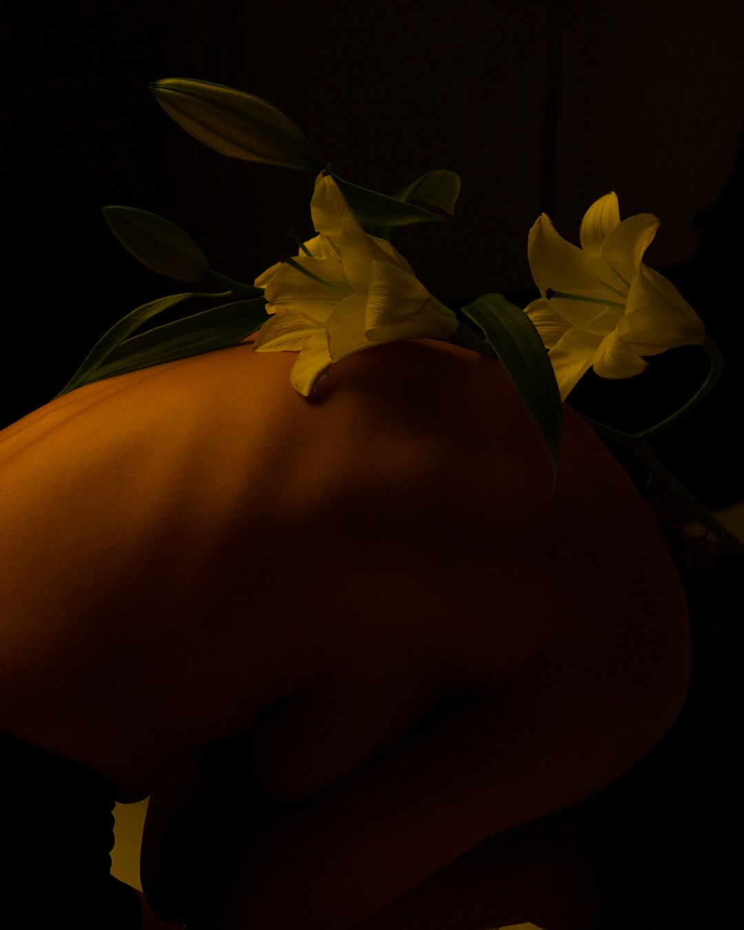 Арт. Фотограф Москва