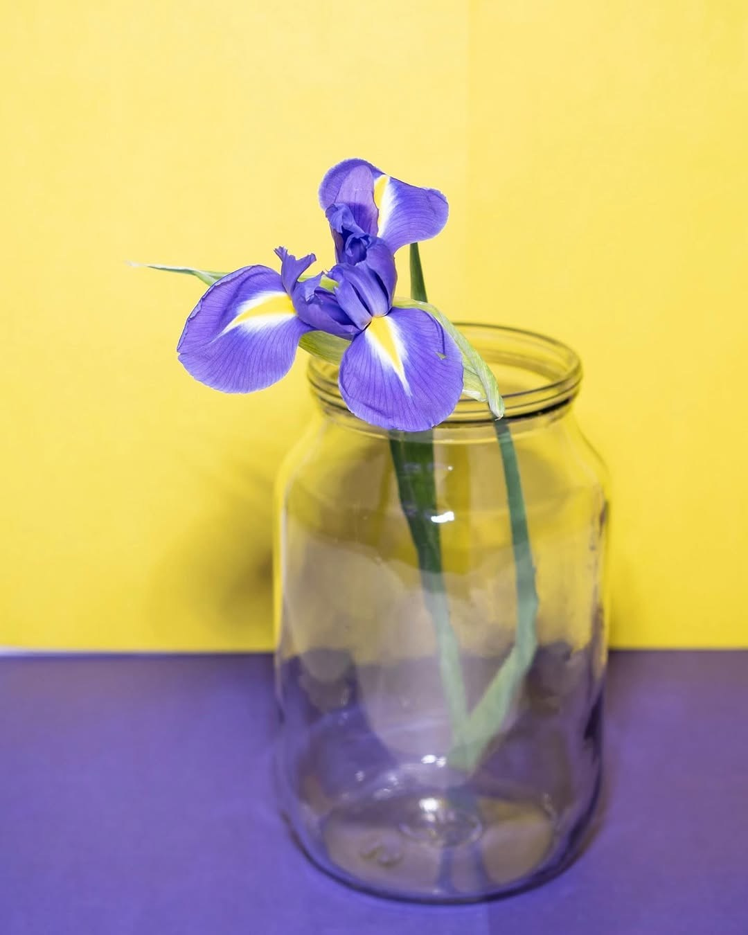 Галерея 2. Наталья Жукова. Курсы фотографии