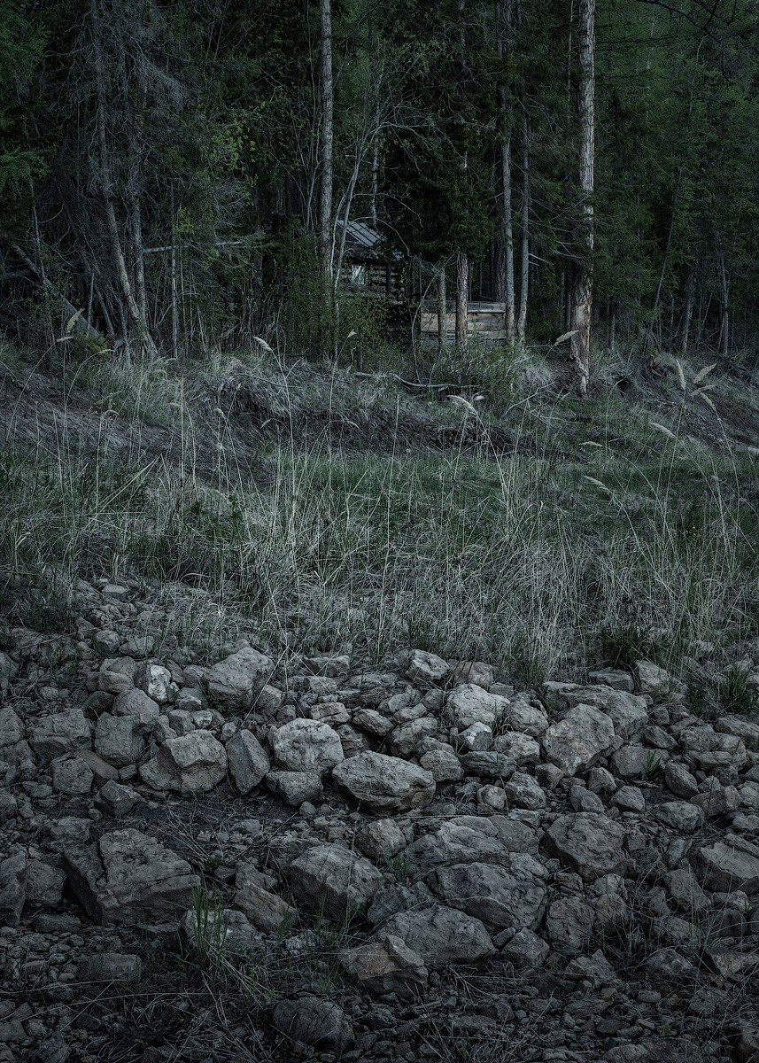 Атлас первого снега серия фотографий. Елена Аносова — художница и исследовательница, куратор и лектор