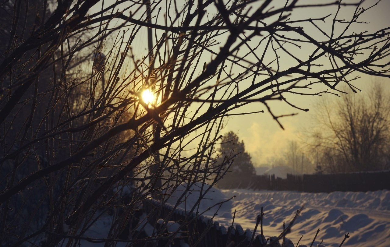 Природа. Анастасия Куц | фотограф | Пермский край