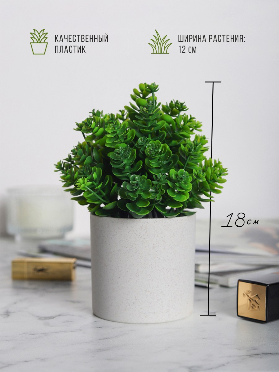 Растения. Разработка фирменного стиля, брендбука, логотипа (логобука), инфографика для маркетплейсов, Новосибирск