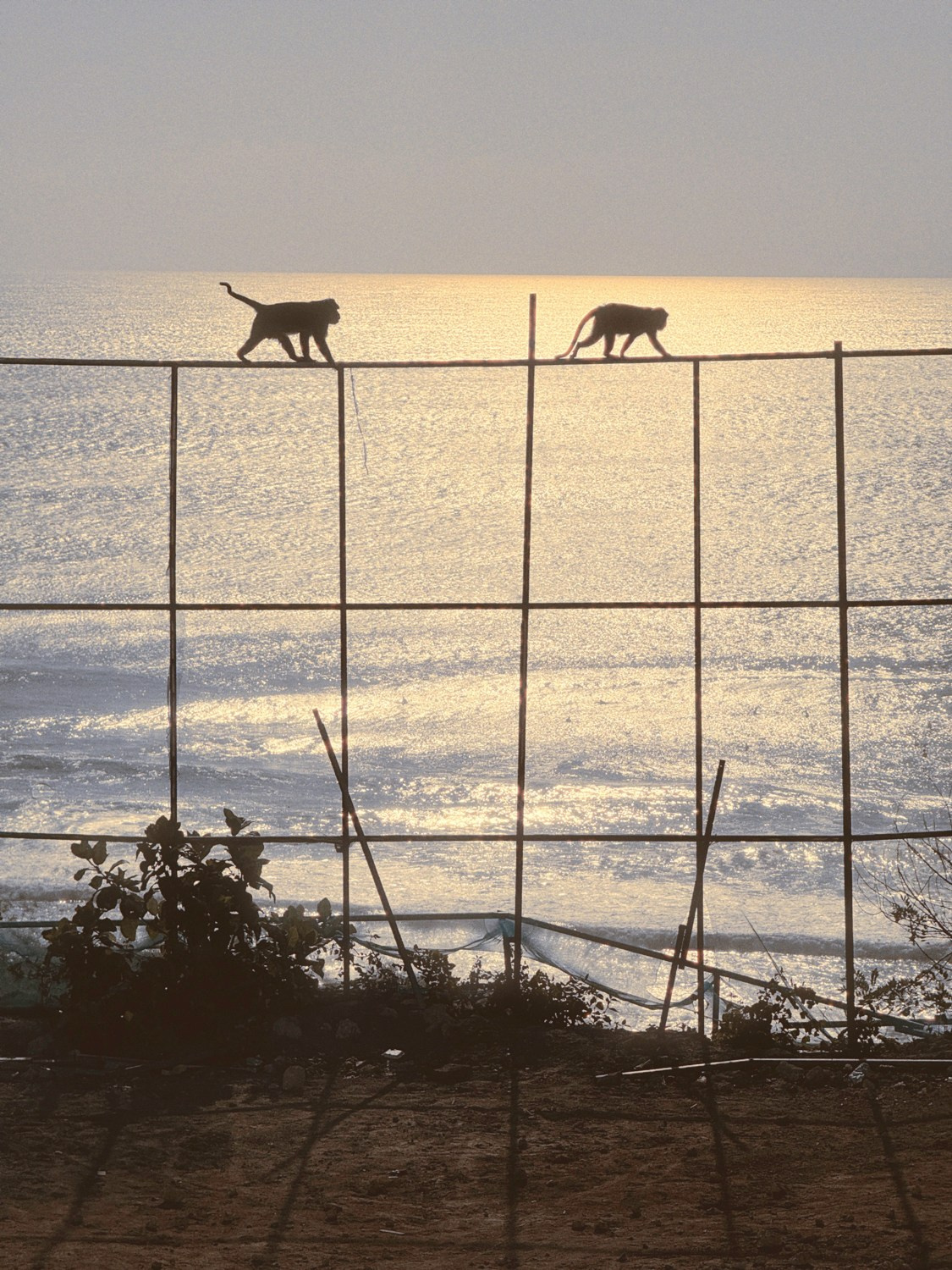 Современная концептуальная фотография о теле, уязвимости и идентичности. Визуальная практика на стиле честности, пост-иронии и искусства.Рекламная фотография, Концептуальная фотография, Современный художник, Психология, Коммерческий фотограф, Репортажный фотограф, Стрит фотография, Арт, Сюрреализм, Мобильная фотография, Снято на айфон, Дима Бурза