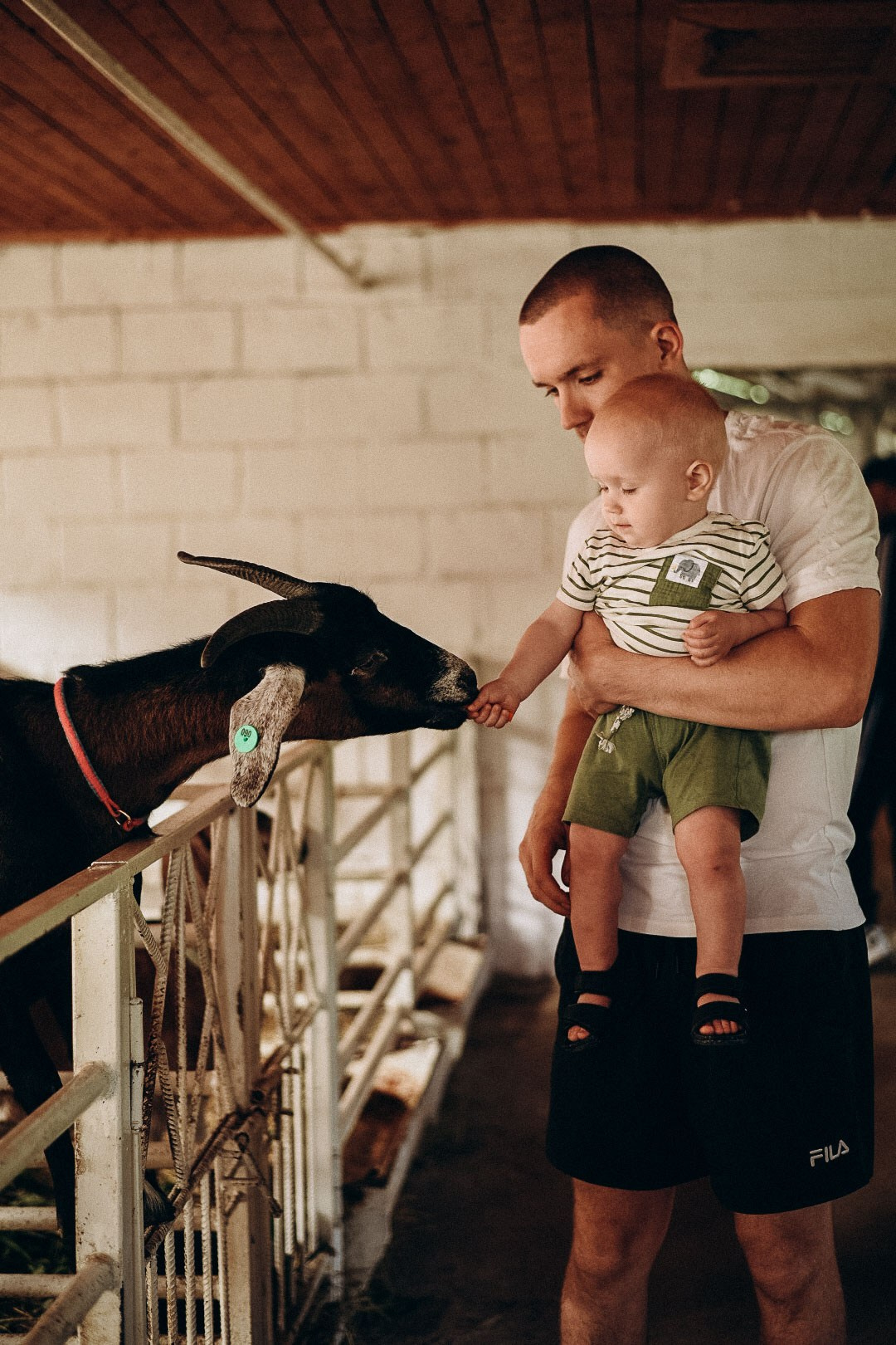 Эко-парк Каткова. Фотограф в Сочи — Маргарита Поганова