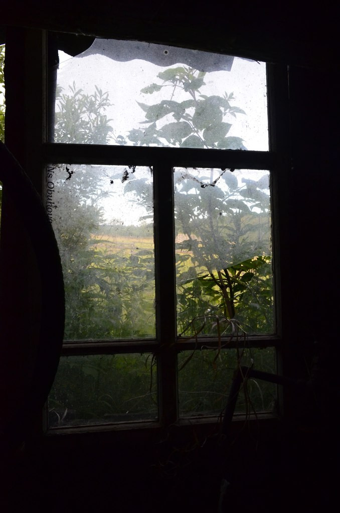 Природа. Анастасия Куц | фотограф | Пермский край