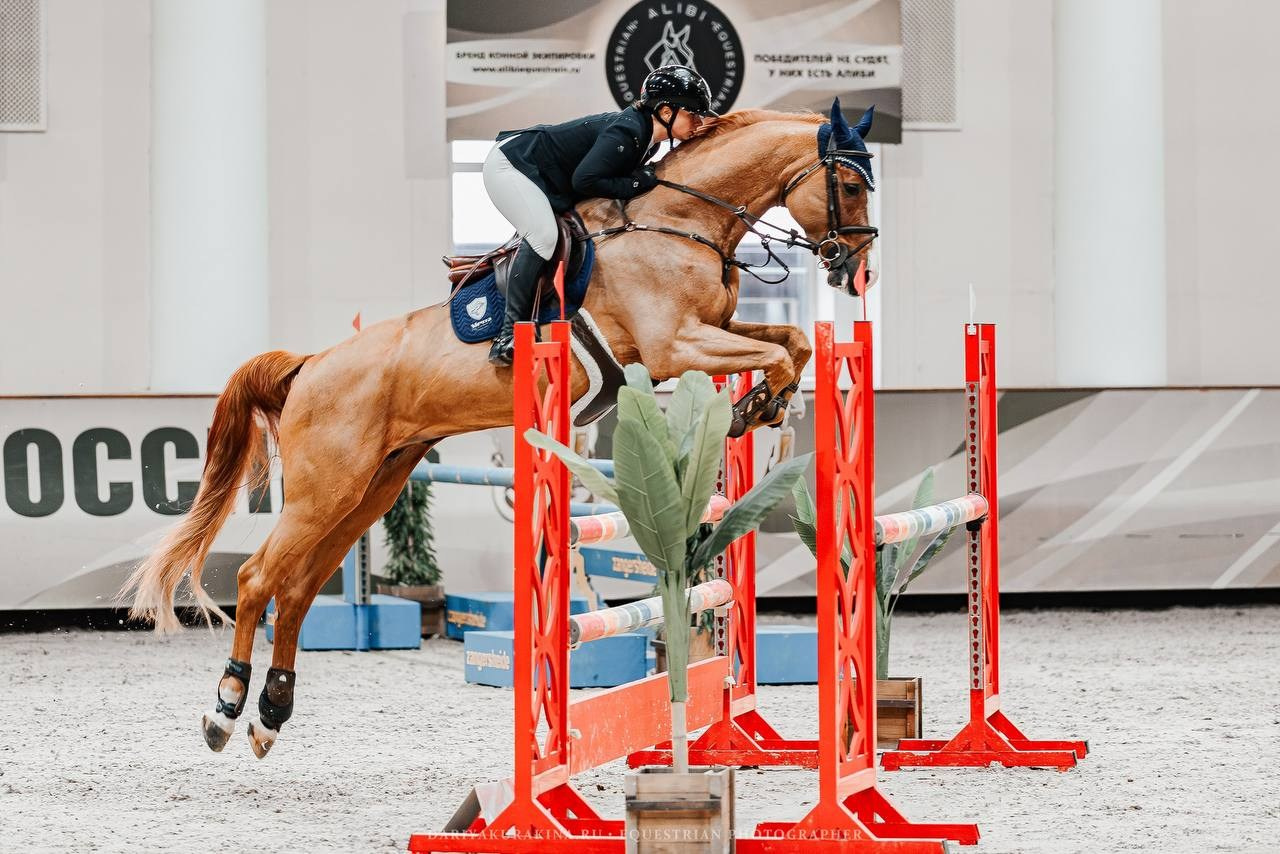 ЗИМНИЙ КУБОК ФЕДЕРАЦИИ КОННОГО СПОРТА ГОРОДА МОСКВЫ. Куракина Дарья • Конный фотограф