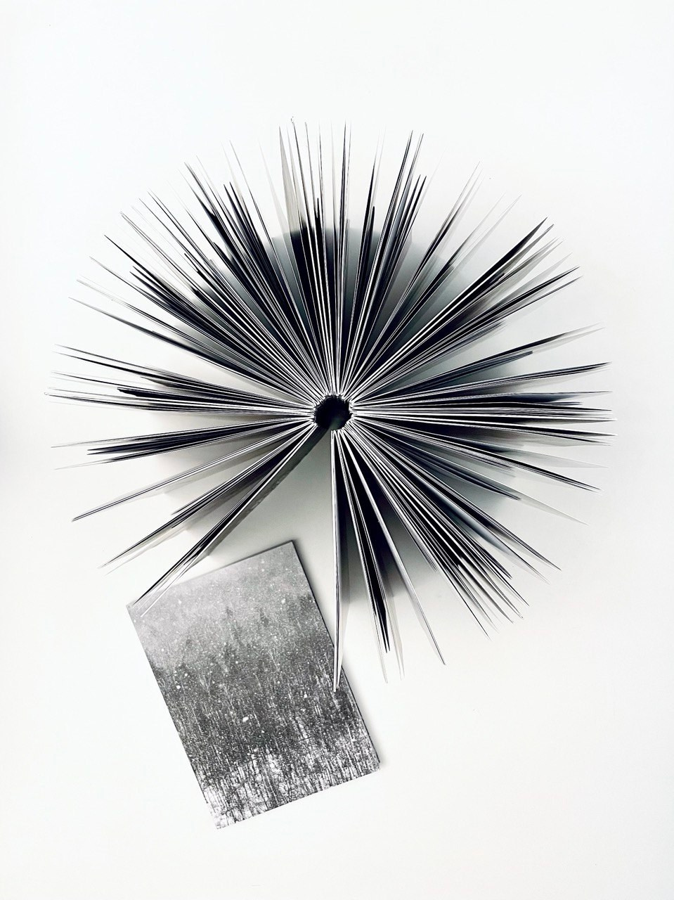 Кто сломал снеговика?. Наталья Орешина документальный и арт-фотограф из Санкт-Петербурга