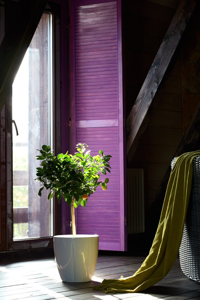 ДЕКОР. Лена Сми интерьерный и портретный фотограф. Москва и Санкт-Петербург