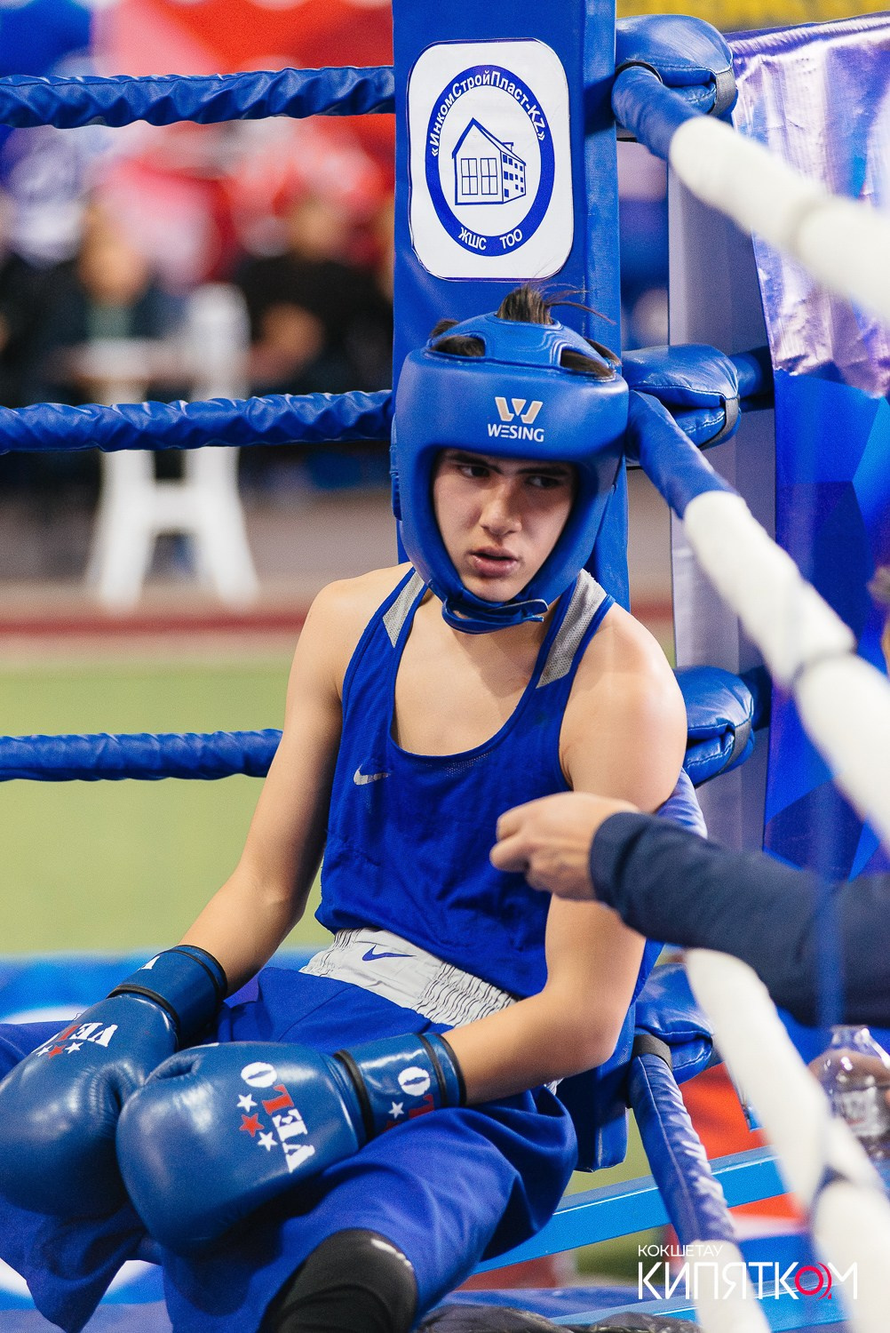 Турнир по боксу. КИПЯТКОМ КОКШЕТАУ