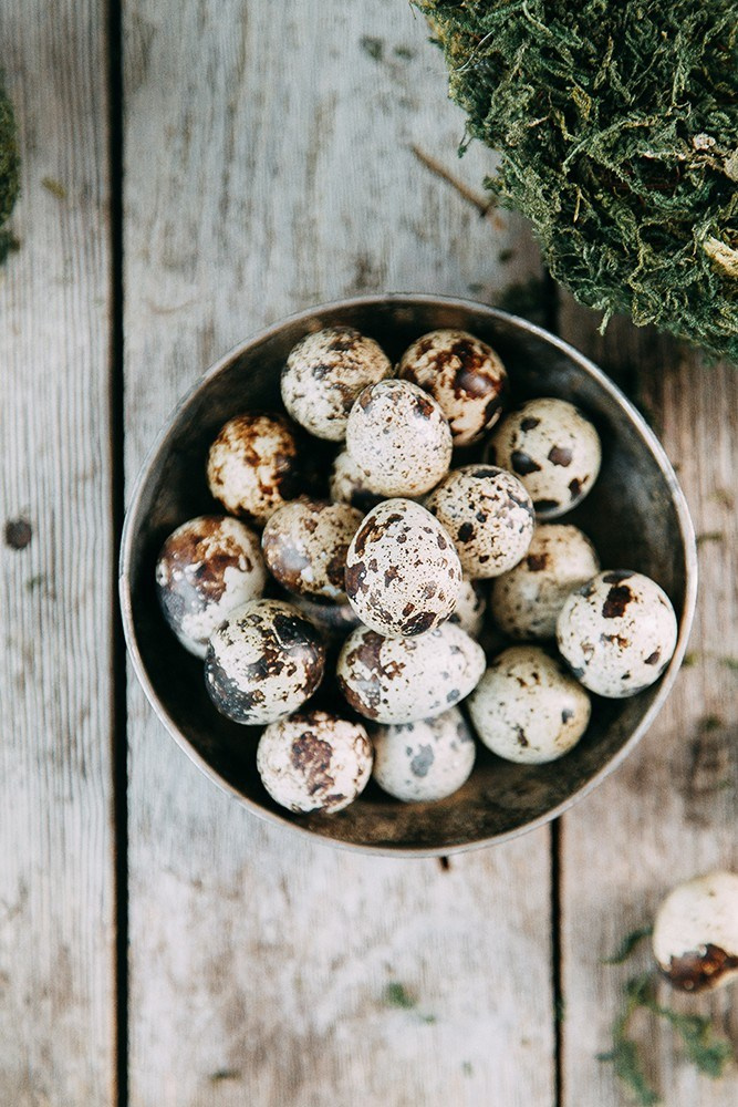 ПАСХАЛЬНАЯ ИСТОРИЯ