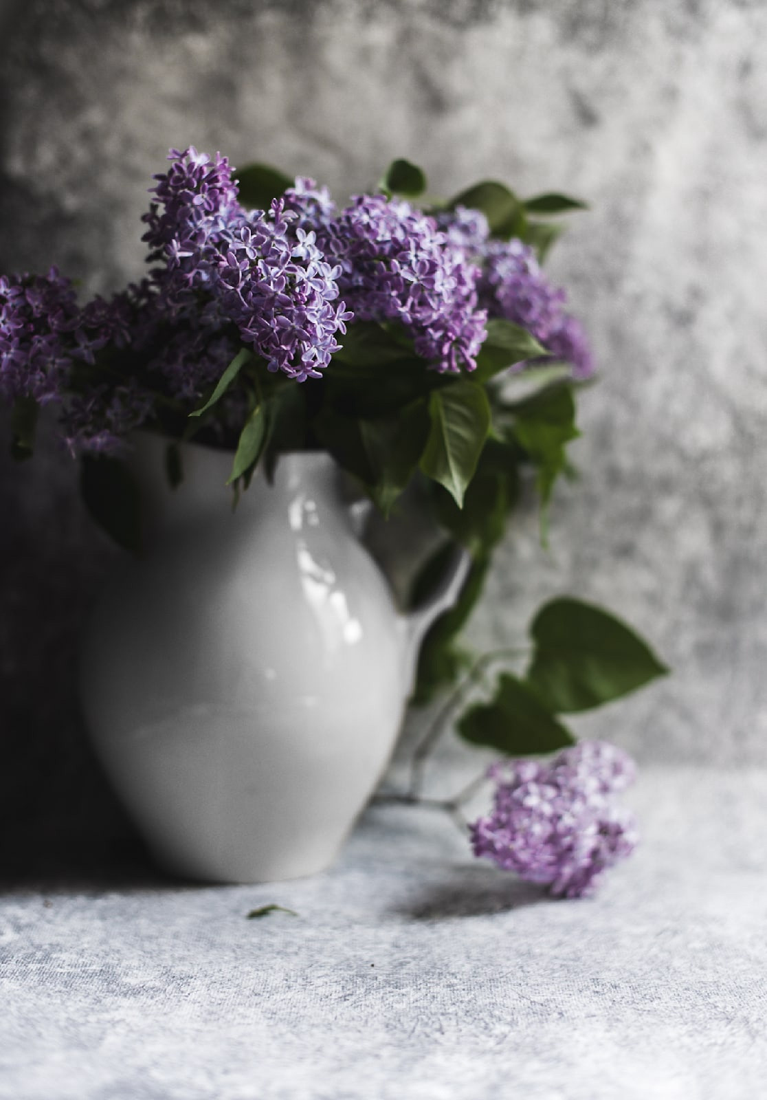 Вкусная еда, красивые натюрморты и природа. Предметный фотограф Санкт-Петербург