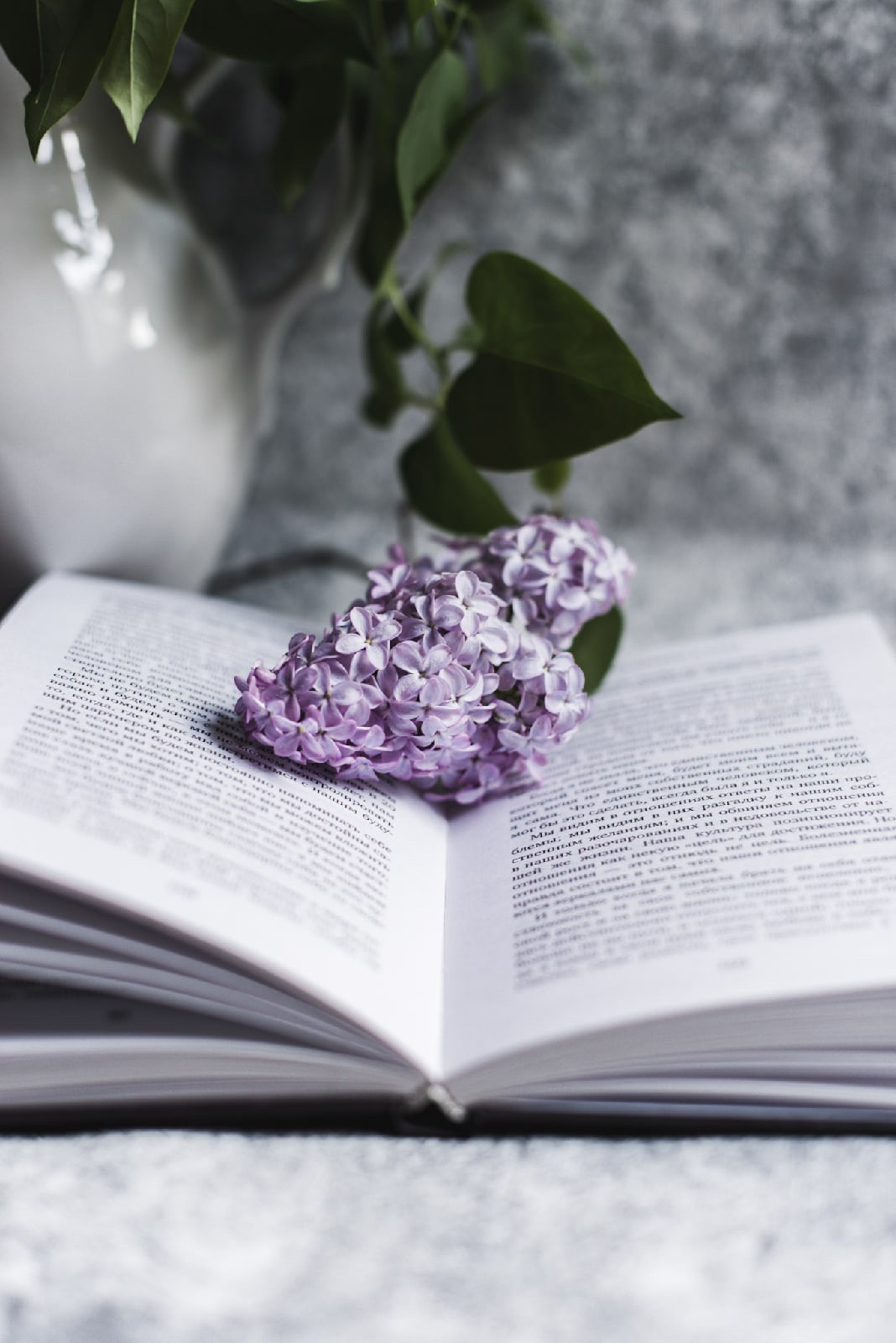 Вкусная еда, красивые натюрморты и природа. Предметный фотограф Санкт-Петербург