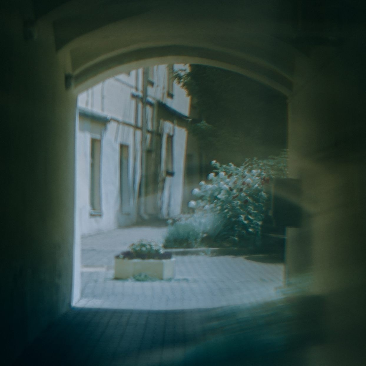 BELARUS. Eduard Kopysov — International visual artist