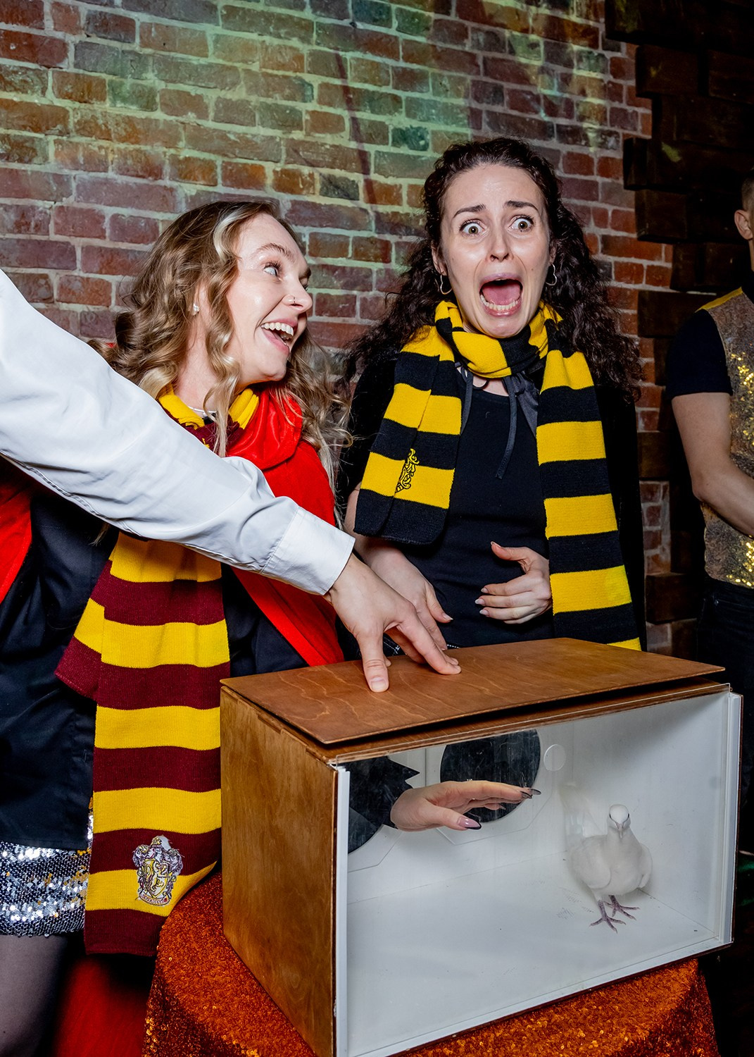 ДЕНЬ РОЖДЕНИЯ В СТИЛЕ ГАРРИ ПОТТЕРА. Творческие фотосессии в Москве