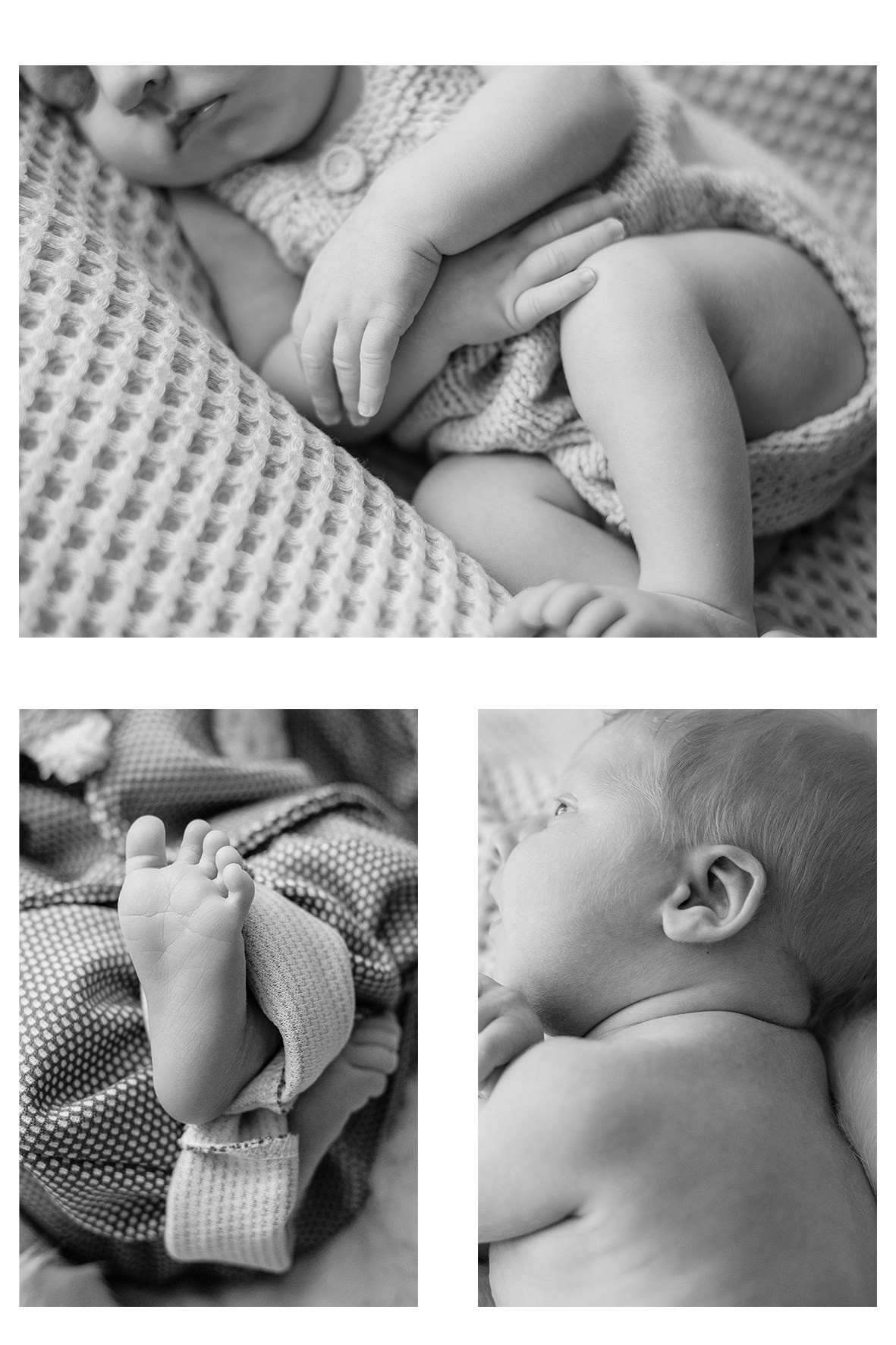 Александр. Семейный и детский фотограф Иваново Ксения Азаренкова