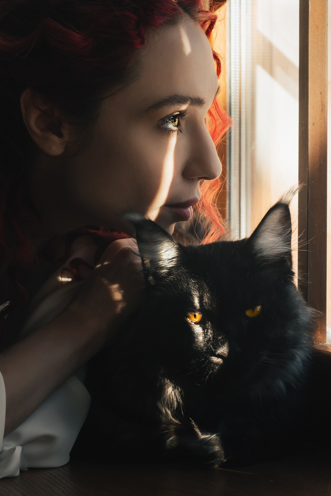 Разное. Belichev45foto.ru