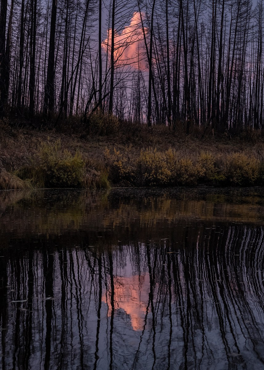 Атлас первого снега серия фотографий. Елена Аносова — художница и исследовательница, куратор и лектор