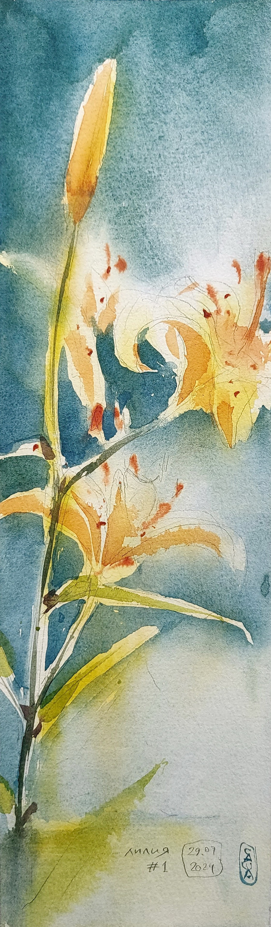 Flowers. Alexander Manaenkov | Watercolor Artist from Siberia