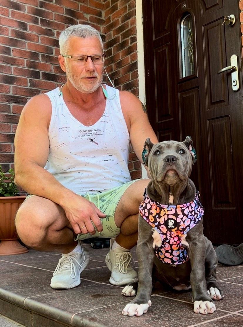 UPB’s Queenie & Zeus. 16.04.24. Американские булли XL в г. Калининград. Питомник Great Bully UNIVERSE