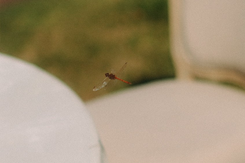 Backstage. Фотограф Нижний Новгород