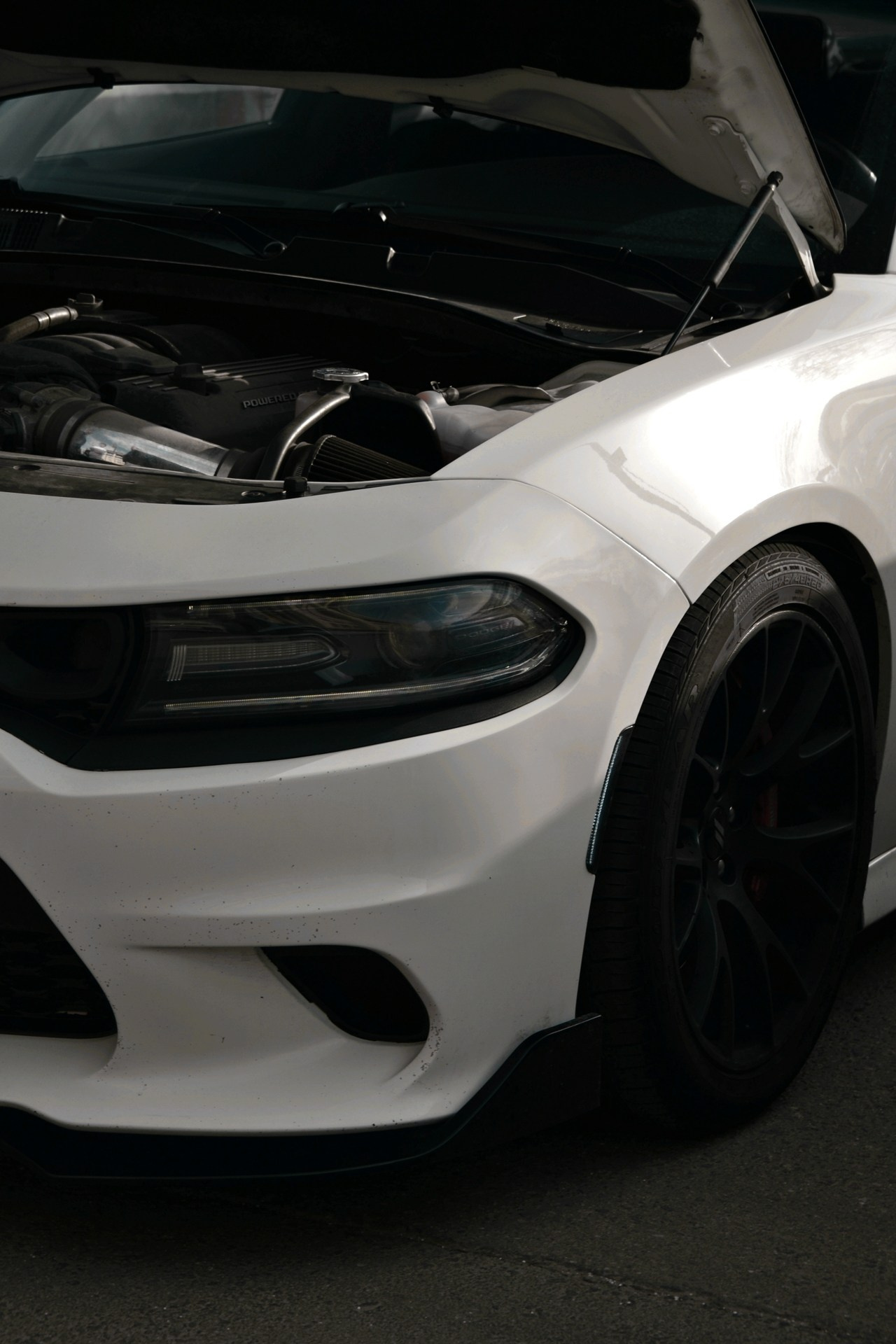 АВТОМОБИЛИ — МЕРОПРИЯТИЯ. Фотограф в Москве — Олег Штыканов